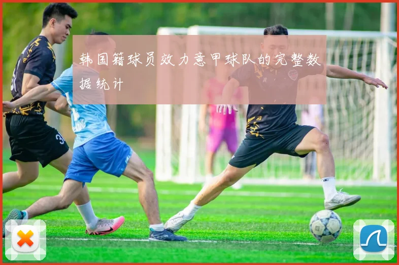 韩国籍球员效力意甲球队的完整数据统计